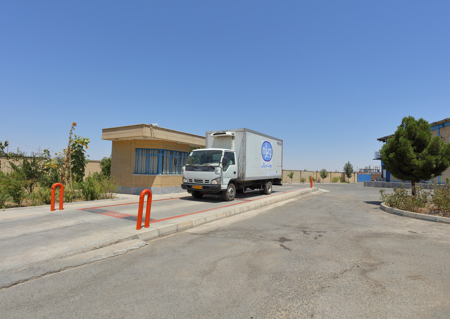 کارخانه حلیب